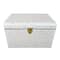 Large Gold Dots Trunk Box by Ashland®